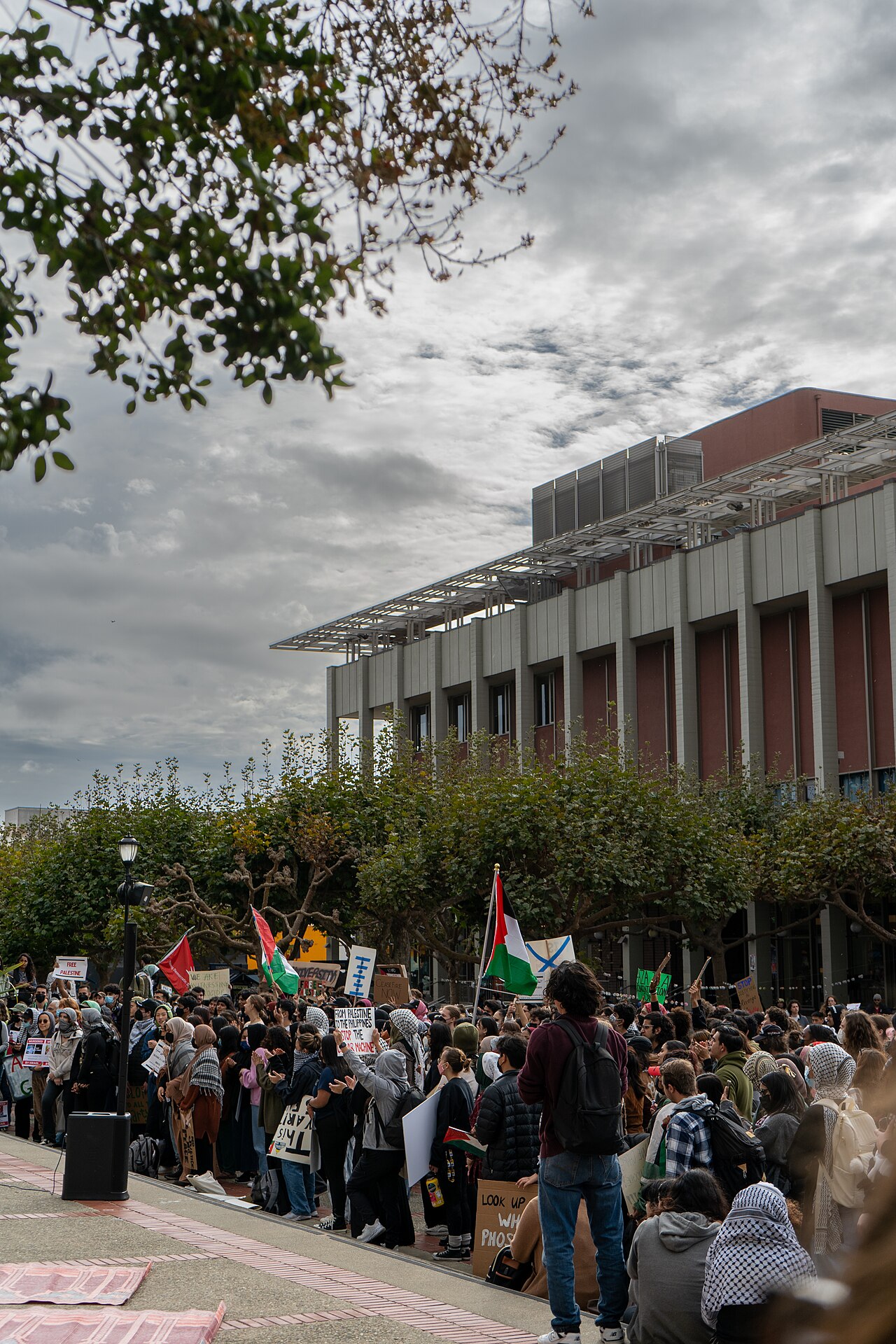 A crowd gathered at a pro-Palestinian protest at the University of California, Berkeley.